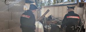 Forze dell'ordine durante un controllo nel campo rom di Via del Riposo a Napoli.
